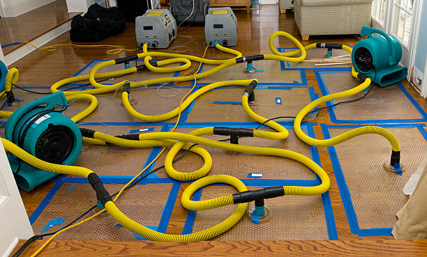 Professional Burst Pipe Water Damage technician working in Lake Helen, FL